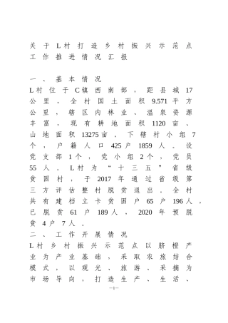 乡村振兴示范点工作推进情况汇报