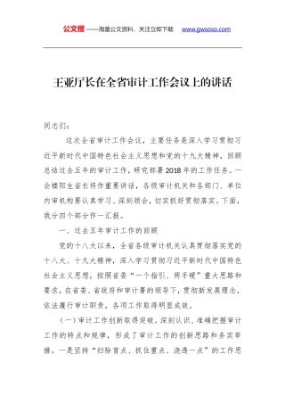 王亚厅长：在全省审计工作会议上的讲话