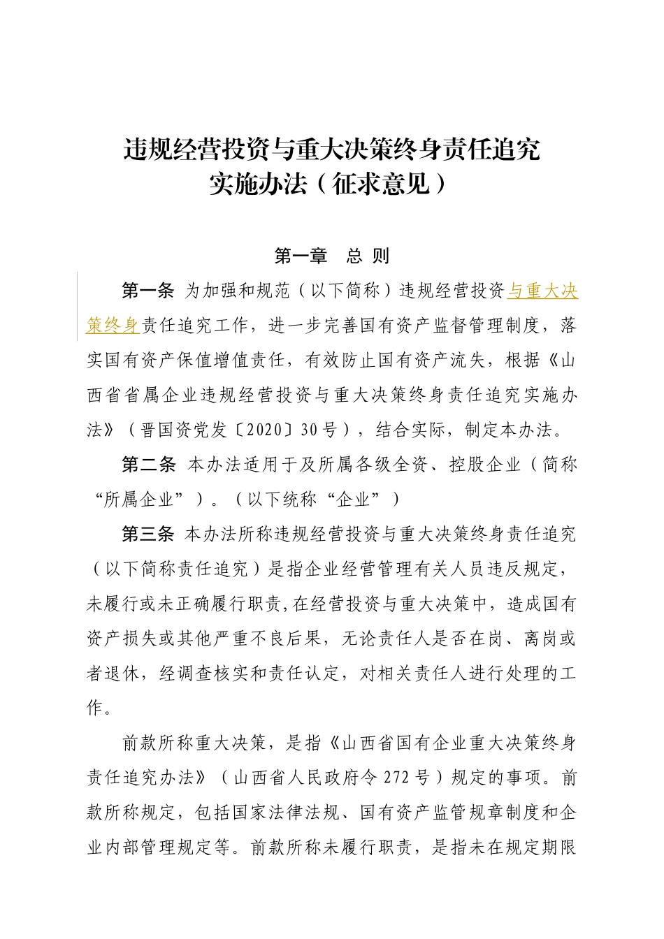 违规经营投资与重大决策终身责任追究实施办法_第1页