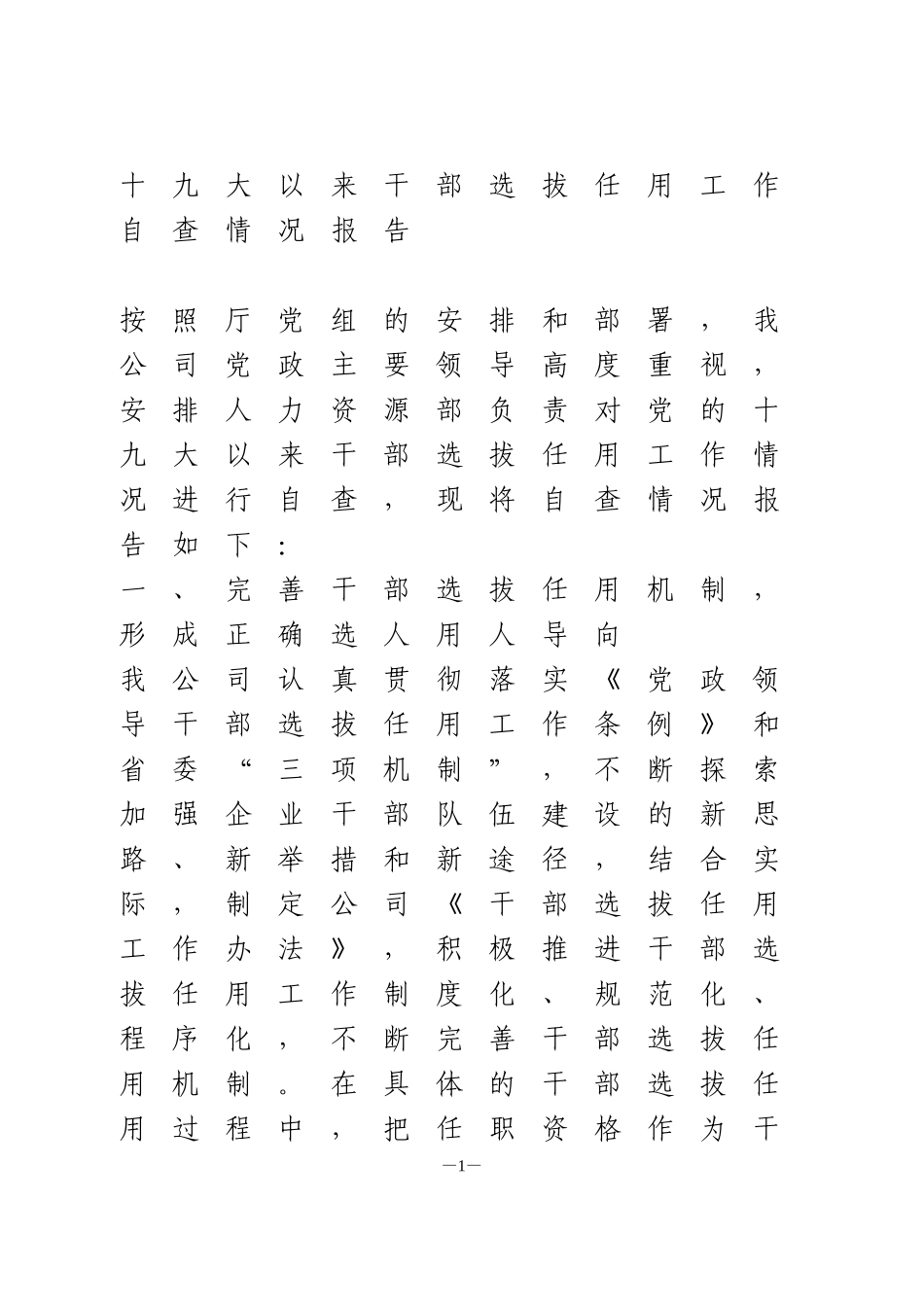 十九大以来干部选拔任用工作自查情况报告_第1页