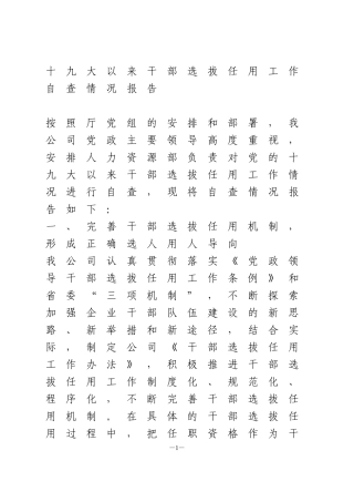 十九大以来干部选拔任用工作自查情况报告