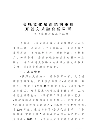 文化旅游局长工作汇报