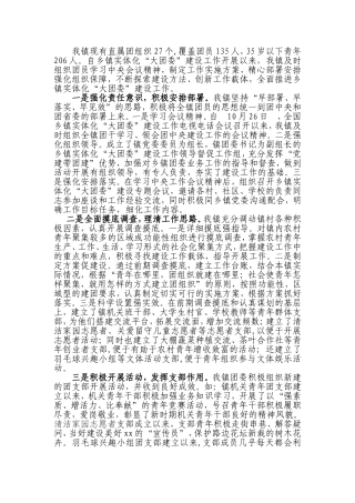 乡镇实体化大团委建设调研报告
