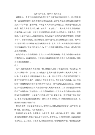 我和我的哈桑，也和35藏獒世家