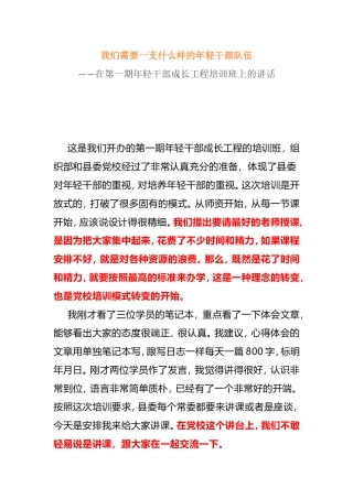 我们需要一支什么样的年轻干部队伍在年轻干部成长工程培训班上的讲话