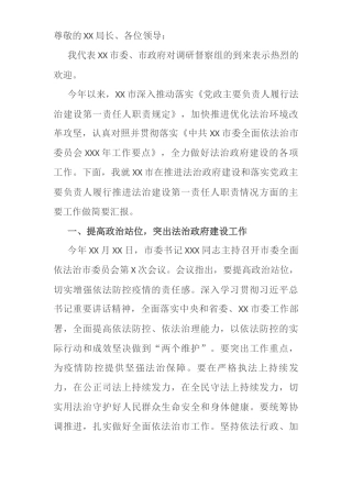 市法治政府建设暨党政主要负责人履行推进法治建设第一责任人职责情况汇报材料