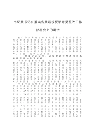 市纪委书记在落实省委巡视反馈意见整改工作部署会上的讲话