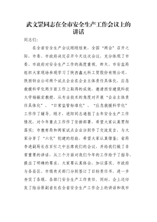 武文罡同志在全市安全生产工作会议上的讲话