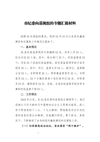 市纪委向巡视组的专题汇报材料