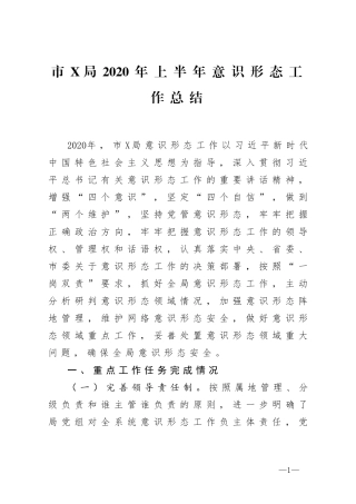 市局2020年上半年意识形态工作总结