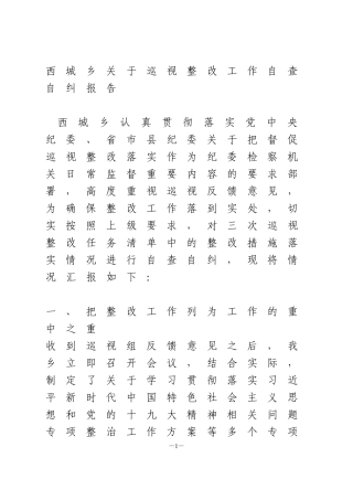 西城乡关于巡视整改工作自查自纠报告