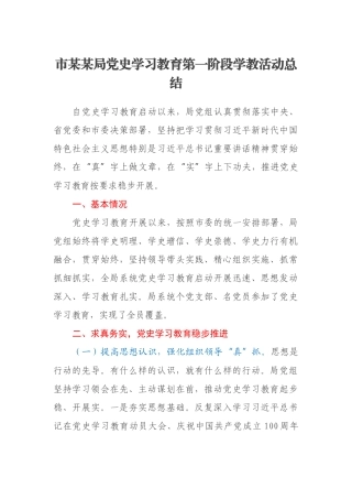 市某某局党史学习教育第一阶段学教活动总结