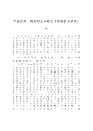 市委办第一党支部上半年工作总结及下半年计划