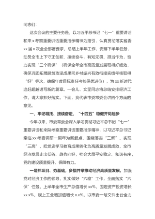 市委书记年中全会报告