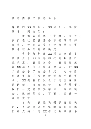 市委书记任职表态讲话