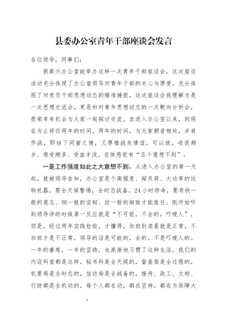 县委办公室青年干部座谈会发言