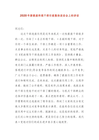 新提拔干部任前集体谈话讲话