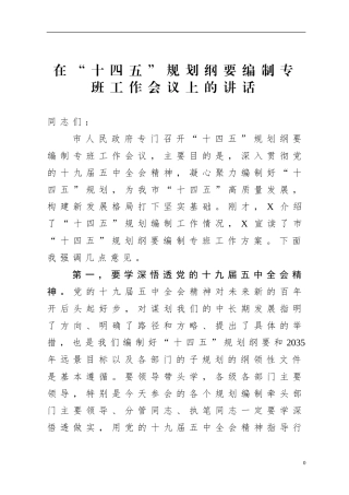 市长：在“十四五”规划纲要编制专班工作会议上的讲话