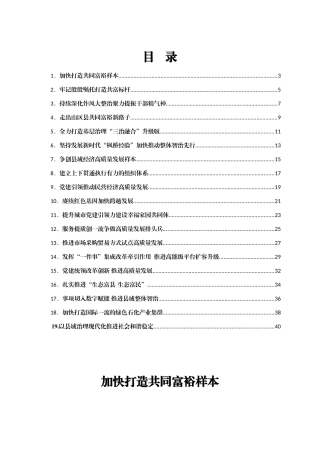 县委书记工作交流会发言20篇