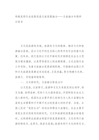 行业优势促进文旅深度融合——文旅融合专题研讨发言