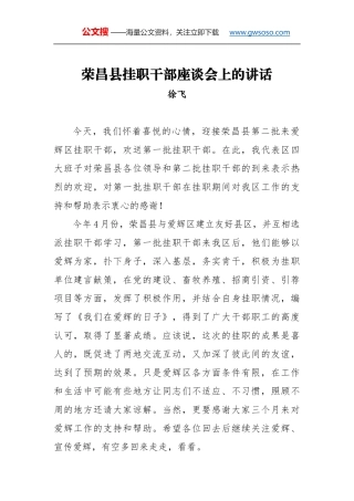 徐飞：荣昌县挂职干部座谈会上的讲话