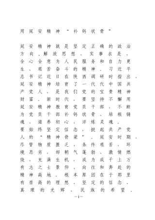 学习延安精神心得体会