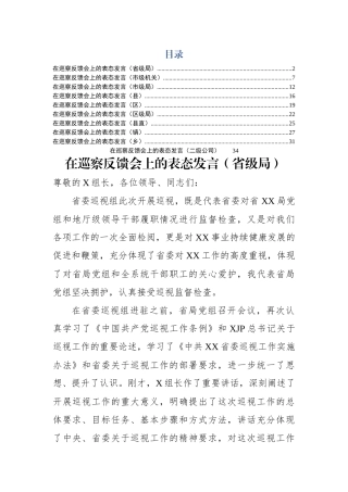 巡察反馈会表态发言10篇2万字