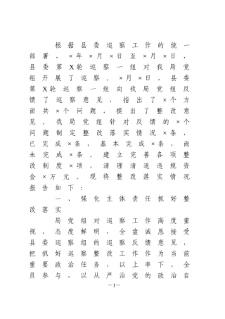 巡察整改工作报告