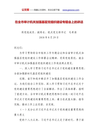 在全市审计机关加强基层党组织建设专题会上的讲话