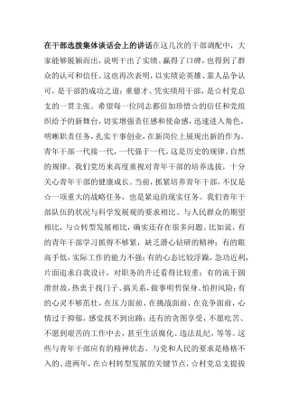 在干部选拨集体谈话会上的讲话政府公务员
