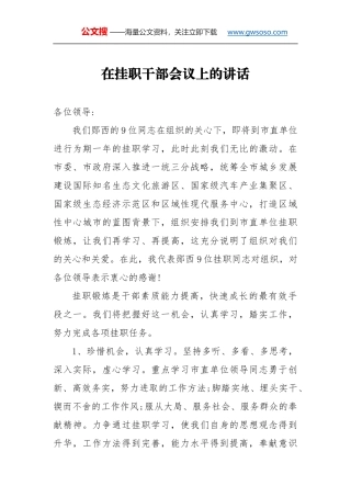 在挂职干部会议上的讲话（三）