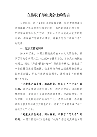 在挂职干部座谈会上的发言