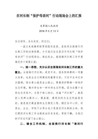 在河长制“保护母亲河”行动现场会上的汇报