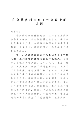 在全县乡村振兴工作会的讲话