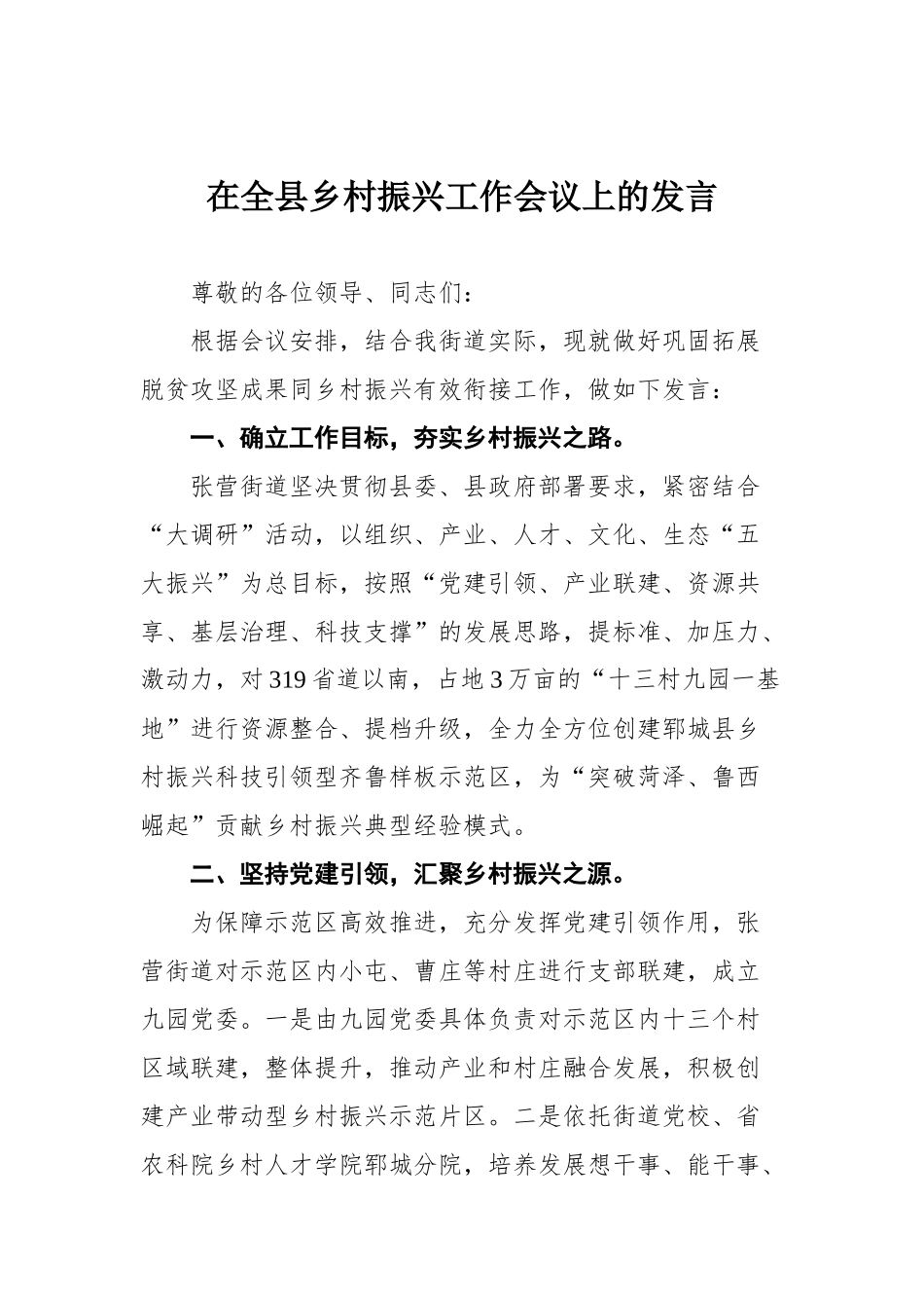 在全县乡村振兴工作会议上的发言_第1页