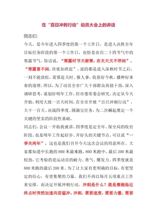在“百日冲刺行动”动员大会上的讲话
