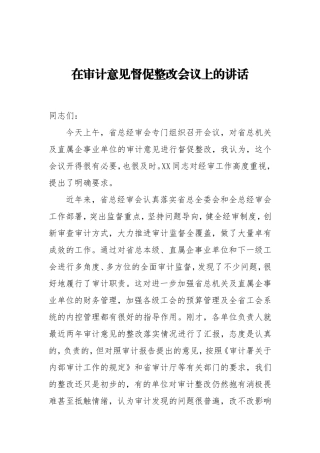 在审计意见督促整改会议上的讲话