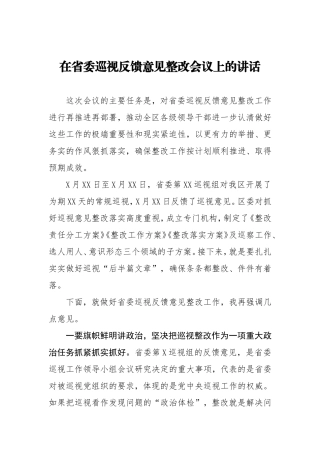 在省委巡视反馈意见整改会议上的讲话