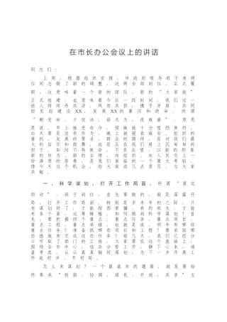 在市长办公会议上的讲话
