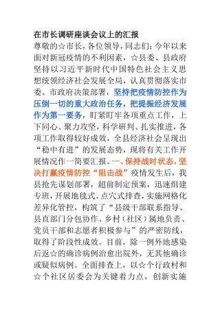 在市长调研座谈会议上的汇报