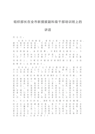组织部长在全市新提拔副科级干部培训班上的讲话