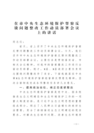 在市中央生态环境保护督察反馈问题整改工作动员部署会议上的讲话