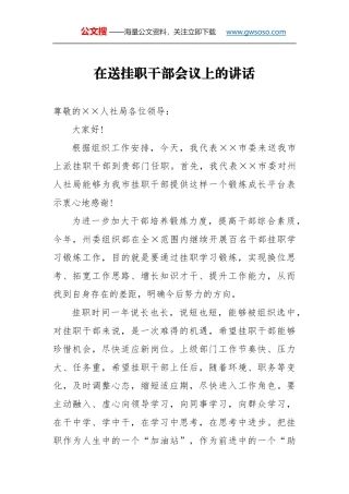 在送挂职干部会议上的讲话（一）