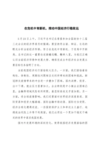 在危机中育新机，推动中国经济行稳致远
