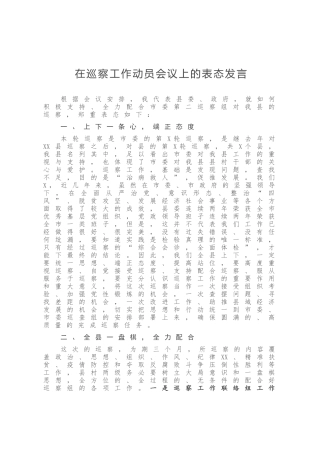 在巡察工作动员会议上的表态发言