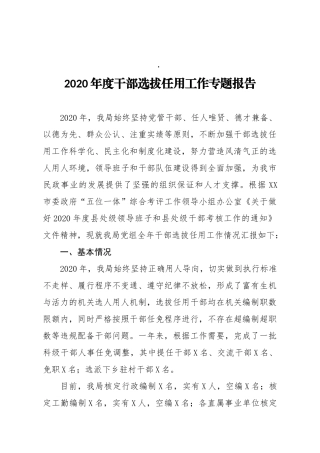 2020年度干部选拔任用工作专题报告
