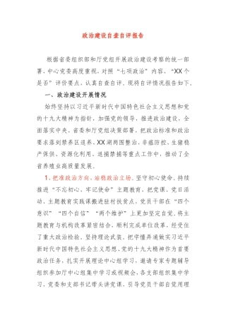 中心党委政治建设自查自评报告