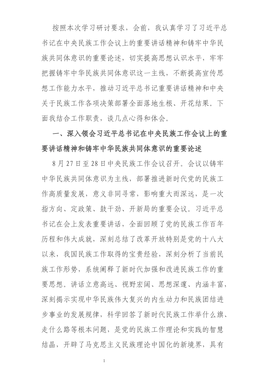 中央民族工作研讨材料_第1页