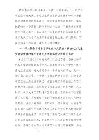 中央民族工作研讨材料