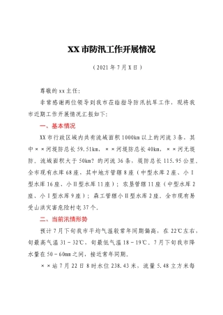 2021年X市防汛工作开展情况
